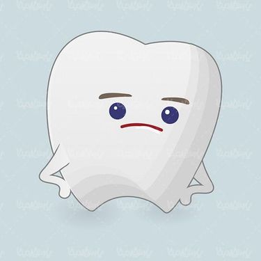 Tooth Vector