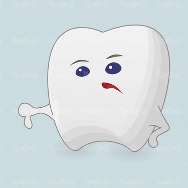 Tooth Vector