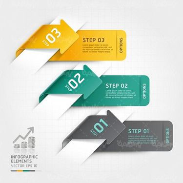 Infographic Vector
