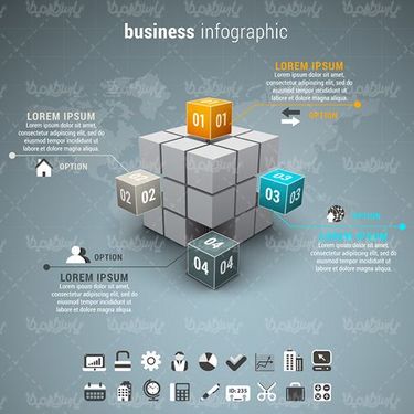 Infographic Vector