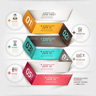 Infographic Vector