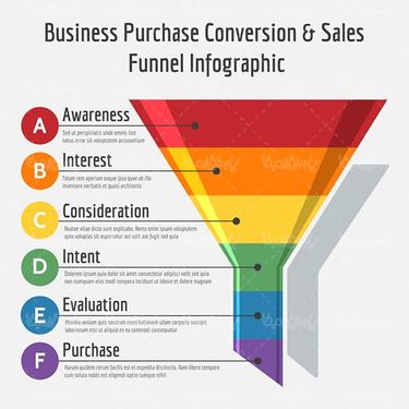 Infographic Vector