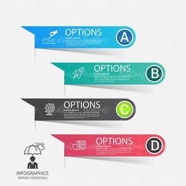 Infographic Vector