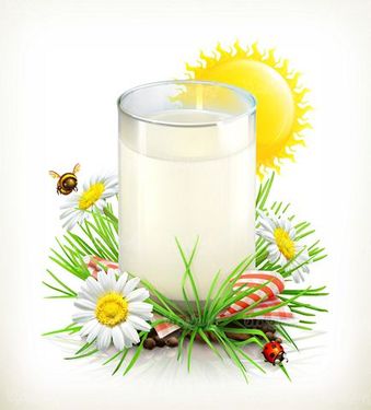 وکتور شیر عسل