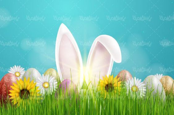 وکتور تخم مرغ عید نوروز