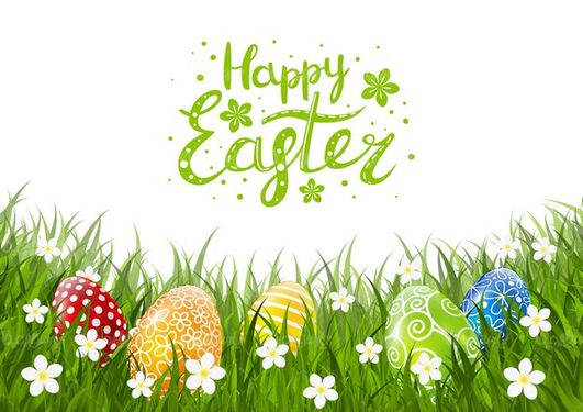Colorful egg vector