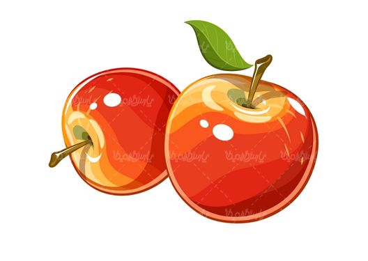 وکتور میوه فروشی