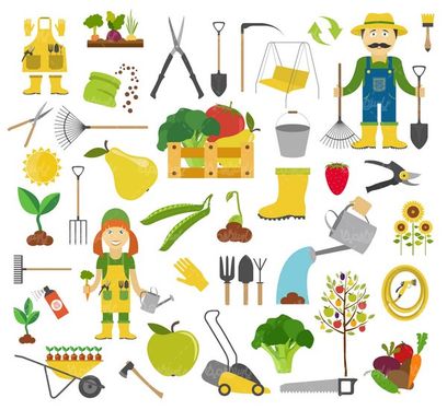 Gardening Vector