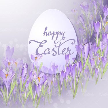 Colorful egg vector