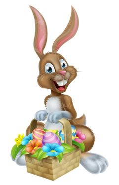 Rabbit vector