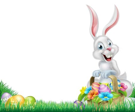 Rabbit vector