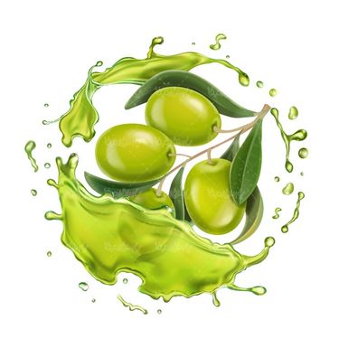 Vector olive