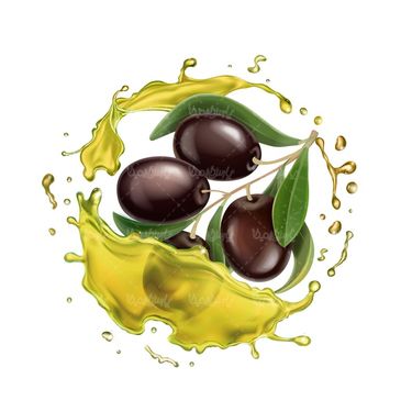 Vector olive