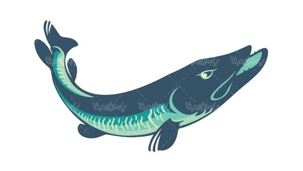 Fish vector