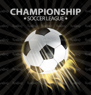 Vector soccer ball