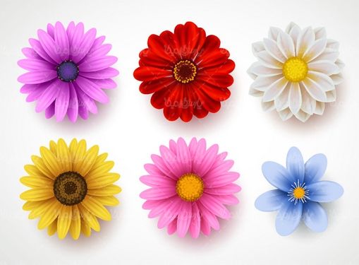 Vector flower branch