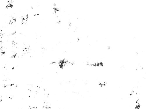 Vector texture