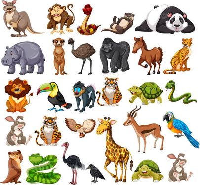 Animal vector