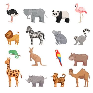Animal vector