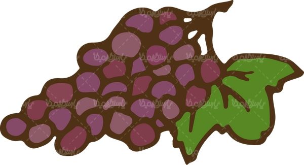 وکتور میوه