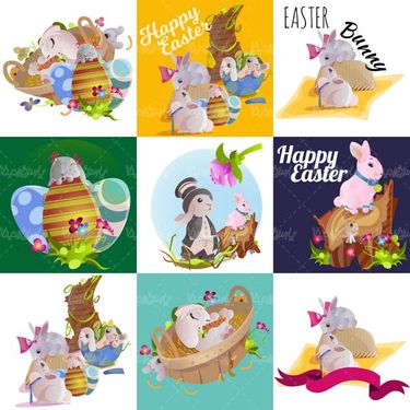 Rabbit vector
