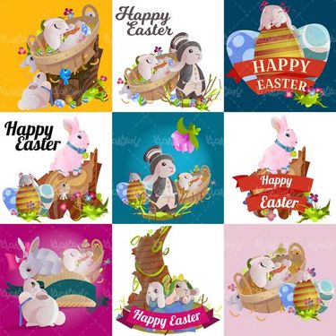 Rabbit vector