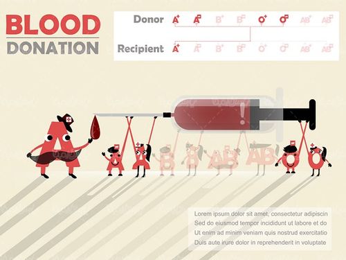 Blood Group Vector