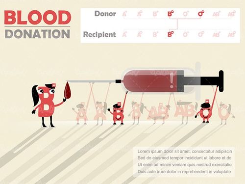 Blood Group Vector