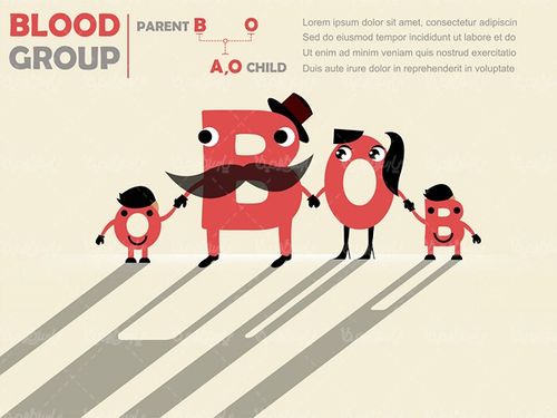 Blood Group Vector