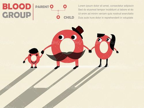 Blood Group Vector