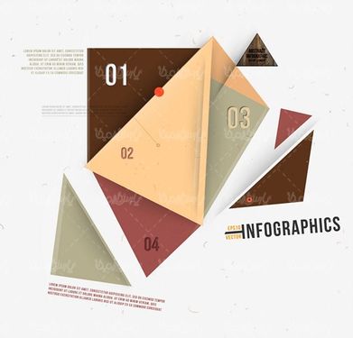 Infographic vector