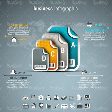 Infographic vector