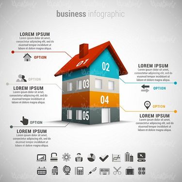 Color Infographic Vector
