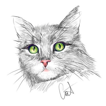 Vector cat