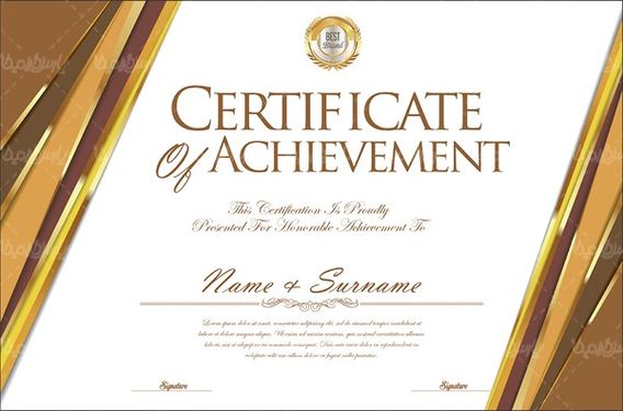 Vector Certification