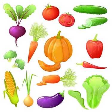 وکتور میوه و سبزیجات