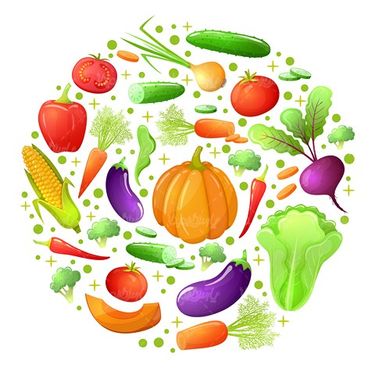 وکتور میوه و سبزیجات