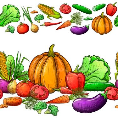 Vector Fruits and Vegetables