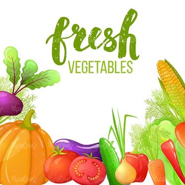Vector Fruits and Vegetables
