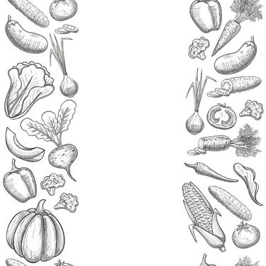 Vector Fruits and Vegetables