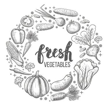 Vector Fruits and Vegetables