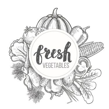 Vector Fruits and Vegetables