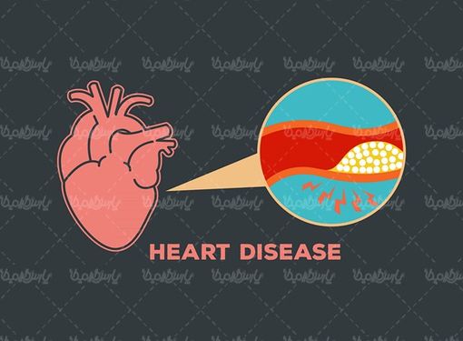 Angioplasty vector
