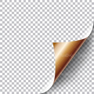 Vector paper folded
