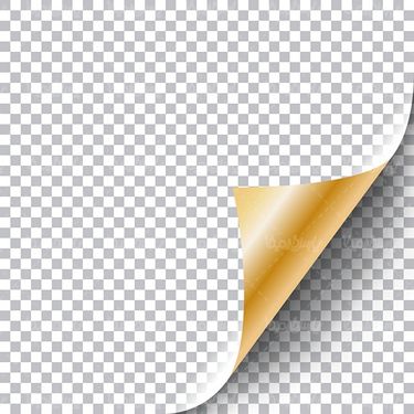 Vector paper folded