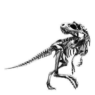 Dinosaur Skeleton Vector