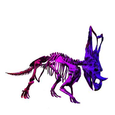Dinosaur Skeleton Vector