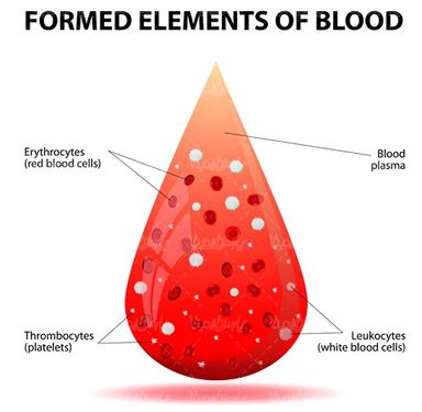 Vector blood test