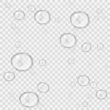 وکتور قطره شبنم