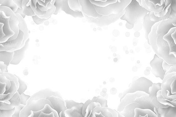 وکتور حاشیه شکوفه گل